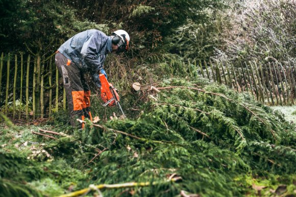 Réalisation d'élagage d'arbres par paysagiste à Guérande