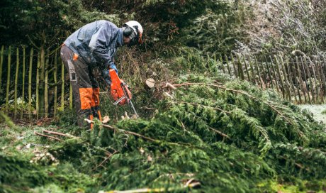 Réalisation d'élagage d'arbres par paysagiste à Guérande