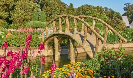 Quelles fleurs pour un massif fleuri toute l'année ?